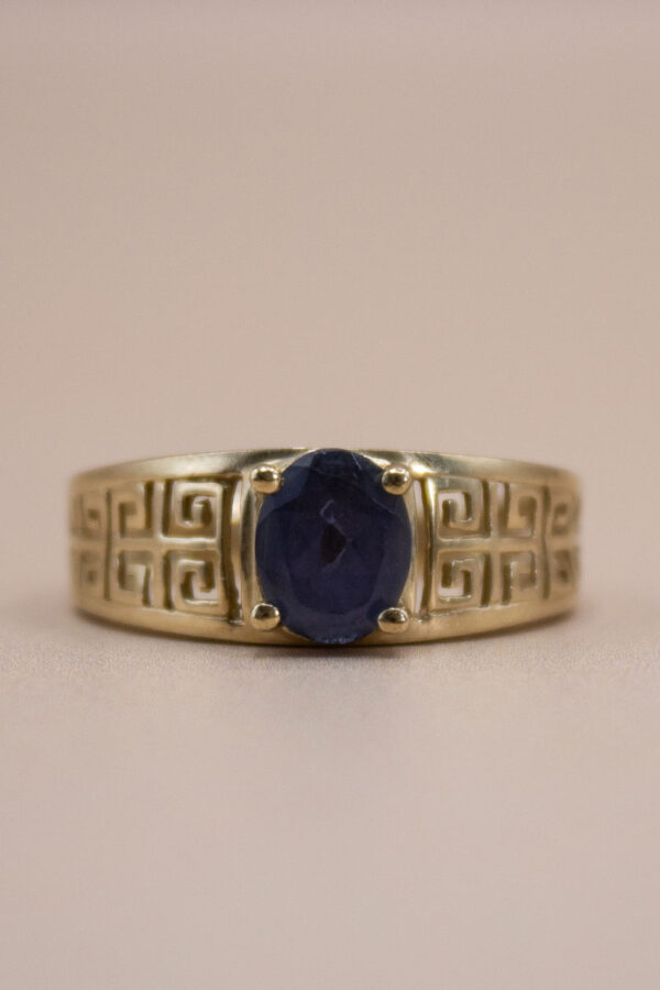 9ct Gold Tanzanite Chunky Solitaire